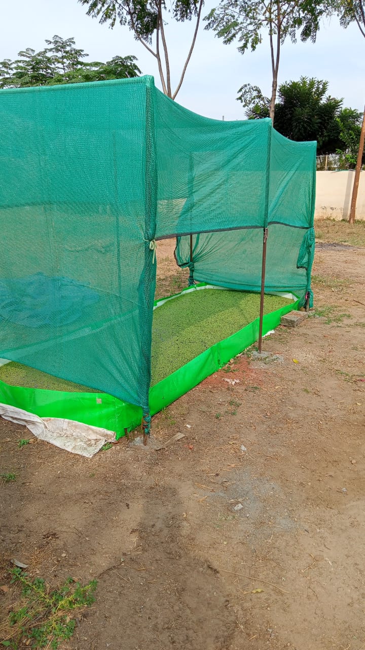 Azolla Bag Size  9x4x1 Feet