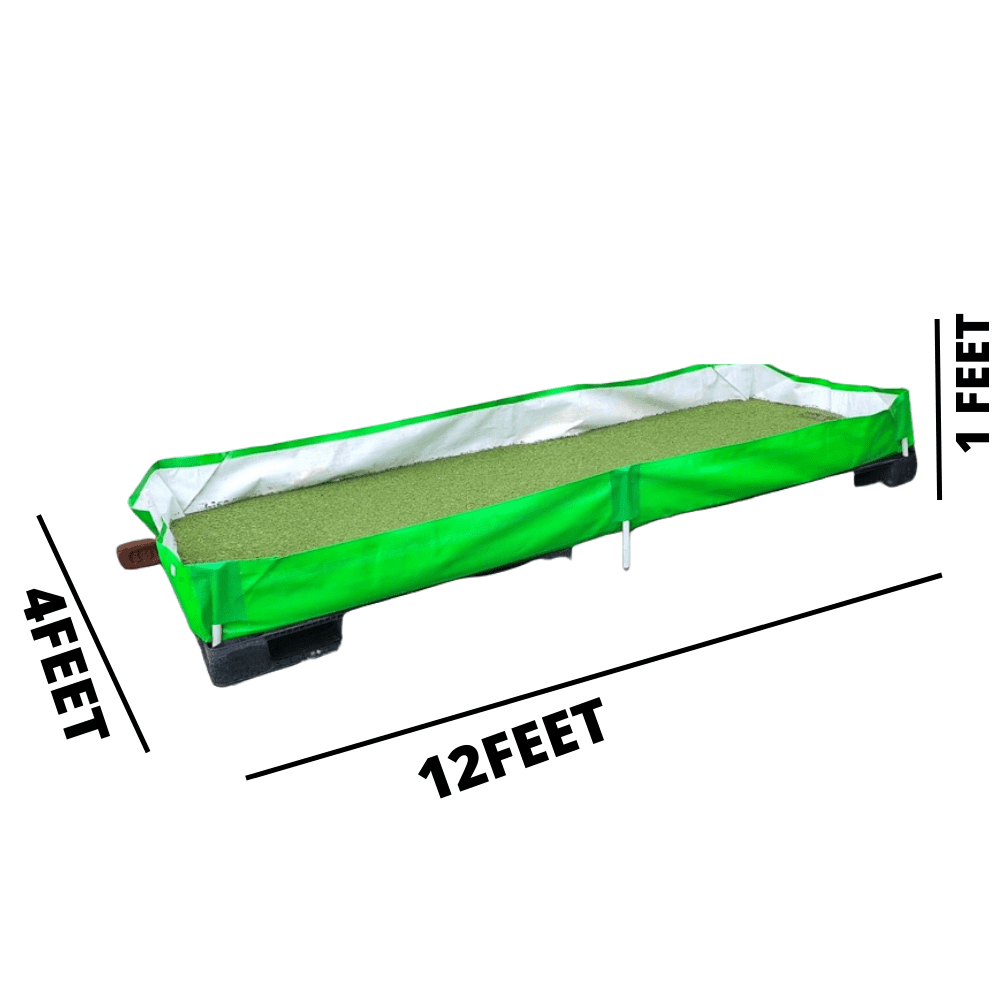 Asolla Bag 12x4x1
