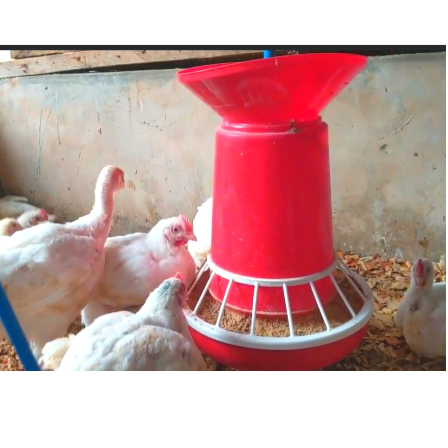 Feeder 8kg Jambo Feeder - Image 6